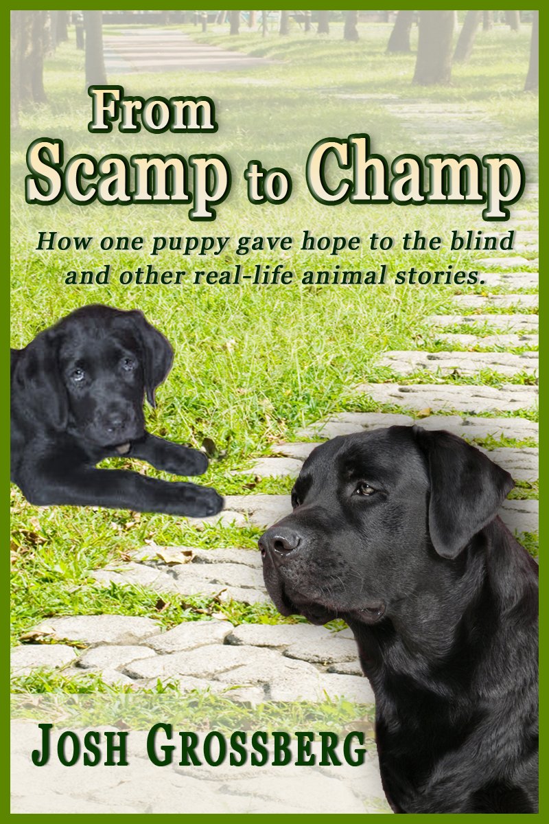 From Scamp to Champ: How one puppy gave hope to the blind and other real-life animal stories