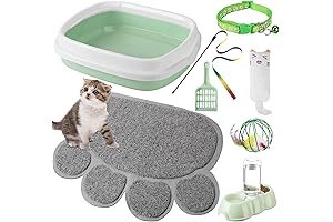 All-in-One Kitten Starter Kit for New Cat Owners