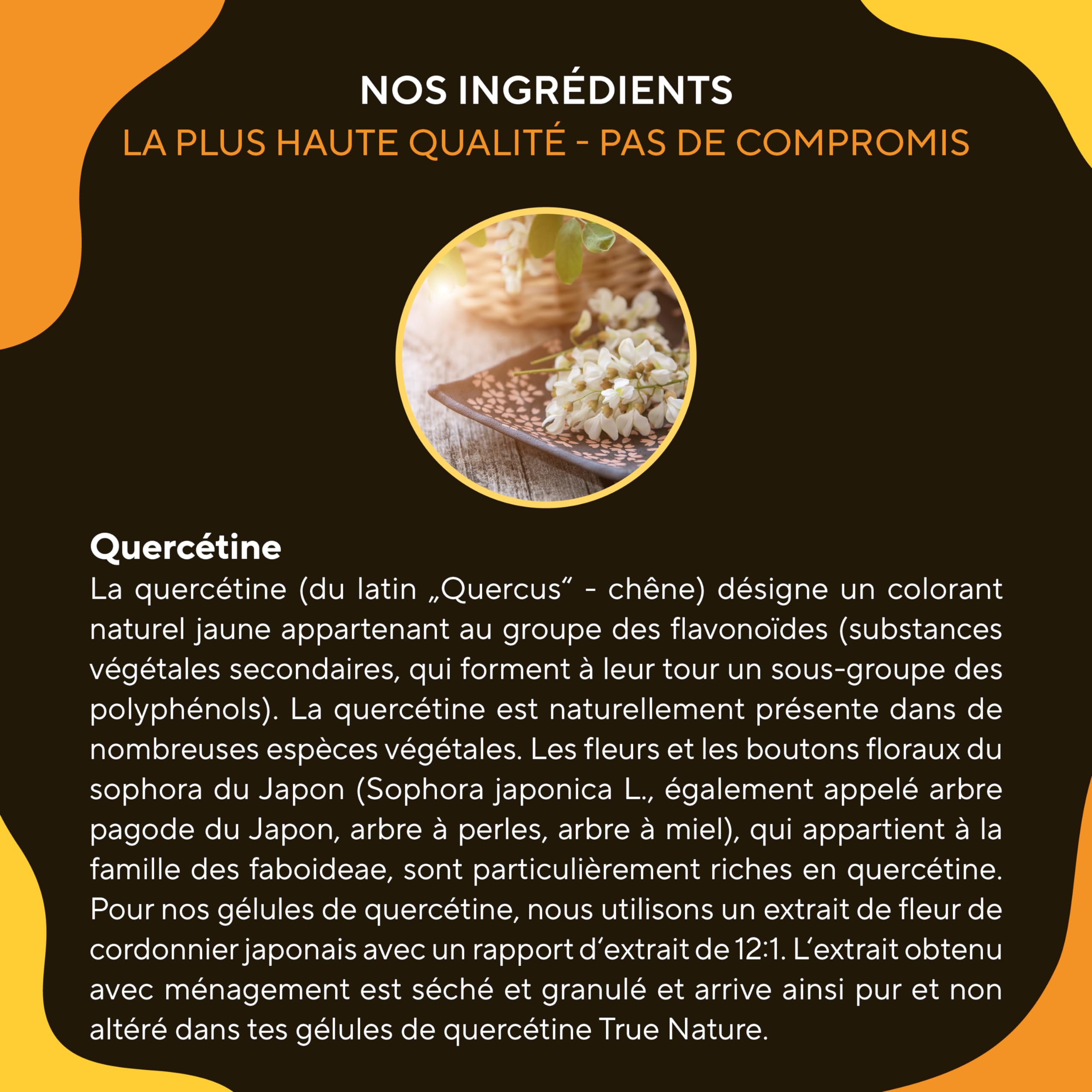 Quercetine 900mg - Antioxydant, Anti-Inflammatoire & Anti-Allergique - 270 Gélules - Extrait de Fleur de Sophora du Japon - Vegan - SANS: Additifs, Gluten & Lactose - TRUE NATURE