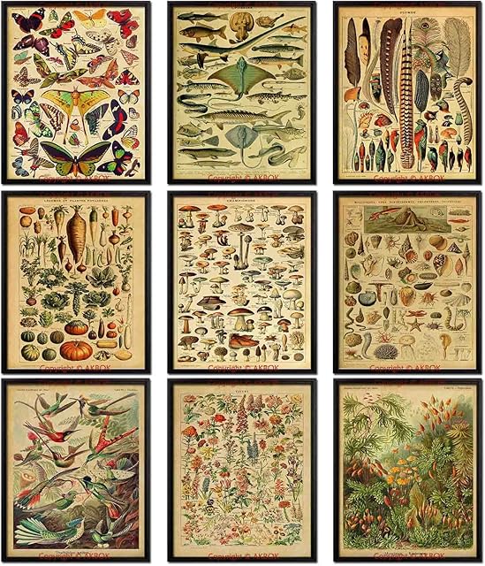 AKBOK Vintage Botanical Poster Butterfly Posters Flower Chart Poster Identification Education Poster Home Living Room Bedroom Wall Art Decor Unframed 8 X 10 Inch 9pcs