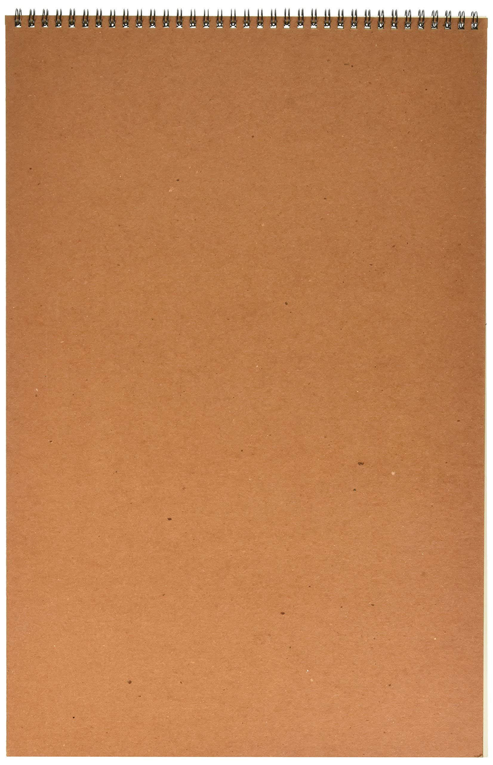 Strathmore (400-6 400 Series Drawing, Medium Surface, 12"x18", 24 Sheets , White - Image 2