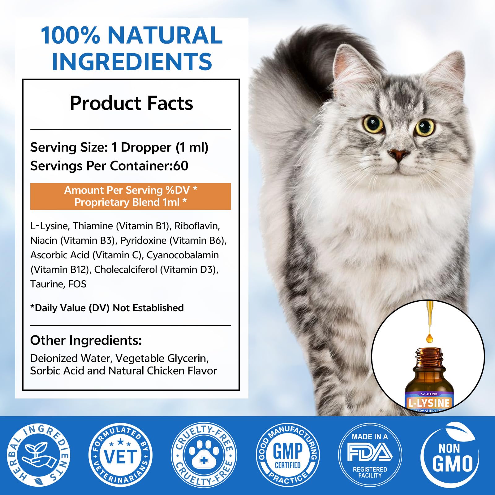 L-lysine Supplement for Cats, Immune Support for Cats, Chicken Flavor 60ml — Amazon image 7