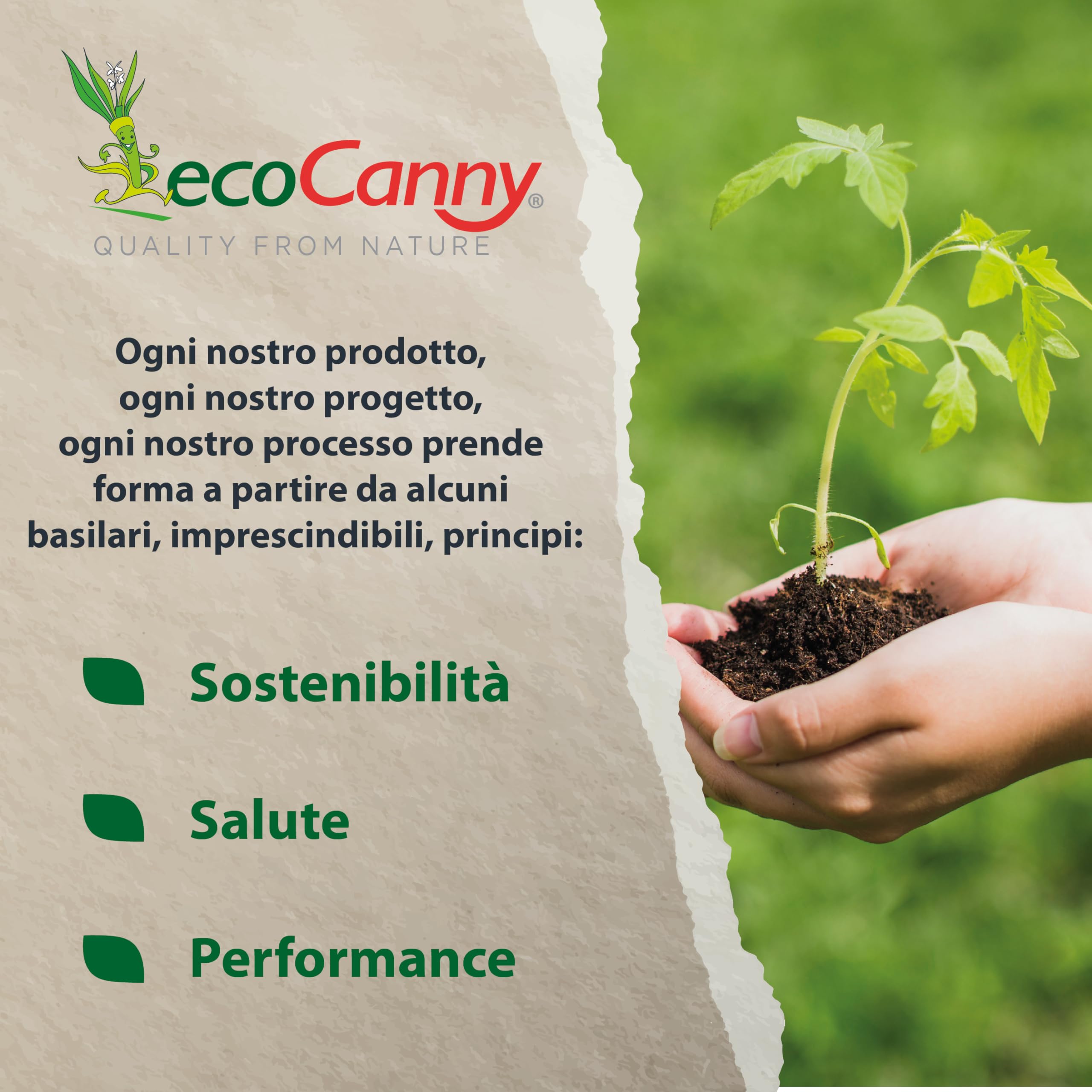 Miscelatori Cocktail in Legno di Betulla, 160mm, Ecologici e Compostabili, Perfetti per Bar e Eventi, Confezione da 100 Pezzi