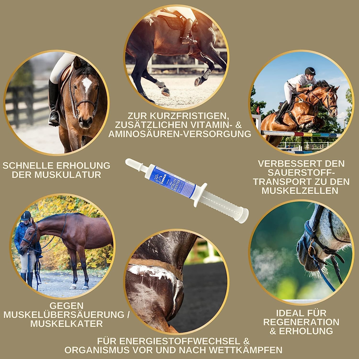 Pâte de vitamine pour chevaux I Booster d'énergie I Vitamines B I Complexe de vitamine B Cheval B12 Lysine Zinc Cheval I Minéraux I Renforcer le système immunitaire I Vitamine E Cheval Oldie Oldie