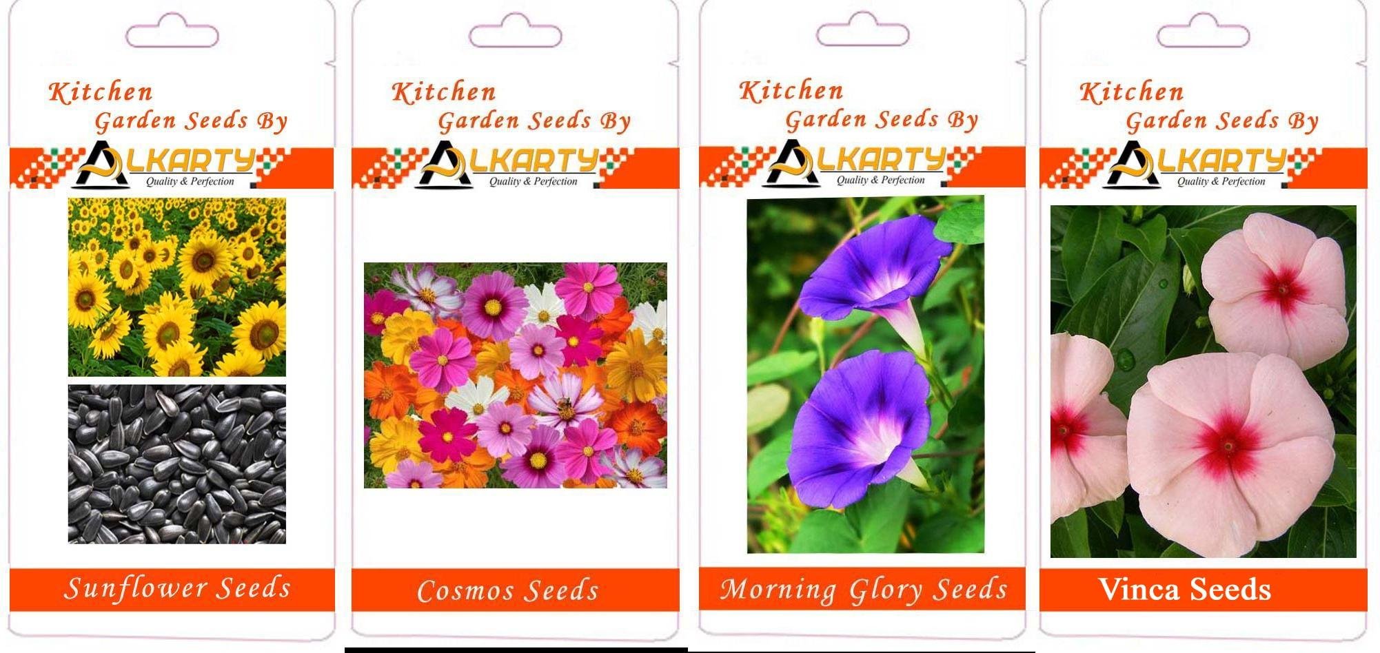 alkarty Sunflower, Cosmos, Morning Glory, Vinca Summer Flower Seeds Pack of 20 Each
