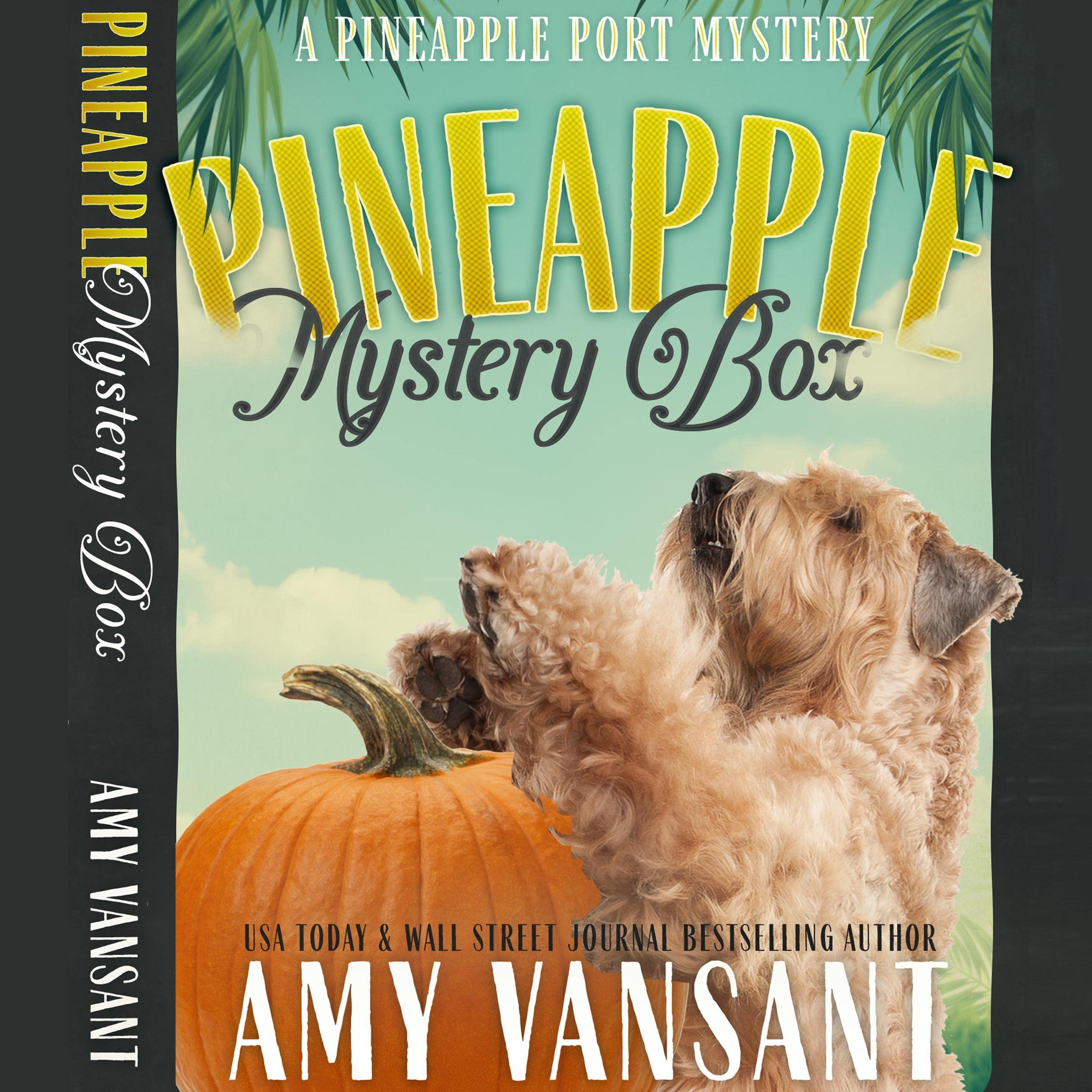 Cover art for Pineapple Mystery Box