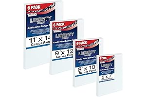US Art Supply Professional Canvas Panel Assortment