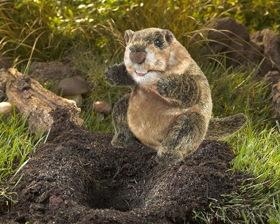 Folkmanis, Puppet Groundhog