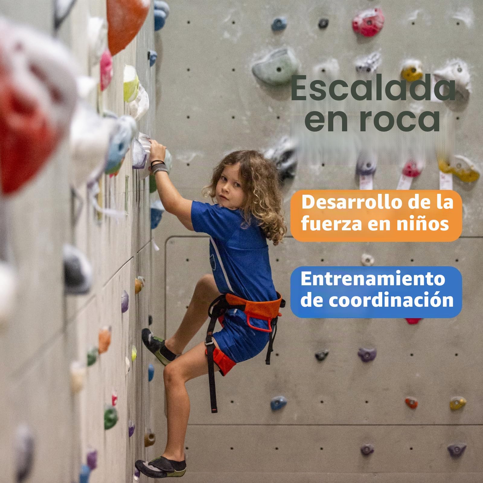 CIMOYBAI 15 Piezas de Soportes de Escalada, Piedras de Escalada para Niños al Aire Libre, Soportes de Pared de Escalada Niños con Tornillos de Fijación para Torre
