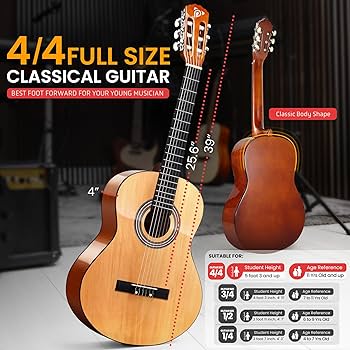 Purles アコースティックギター 木製 Amazon | Breedlove Pursuit エキゾチック S コンサート 6弦