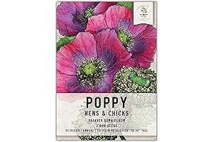 Seed Needs Hen's & Chicks Poppy Seeds - Heirloom Poppy Seeds