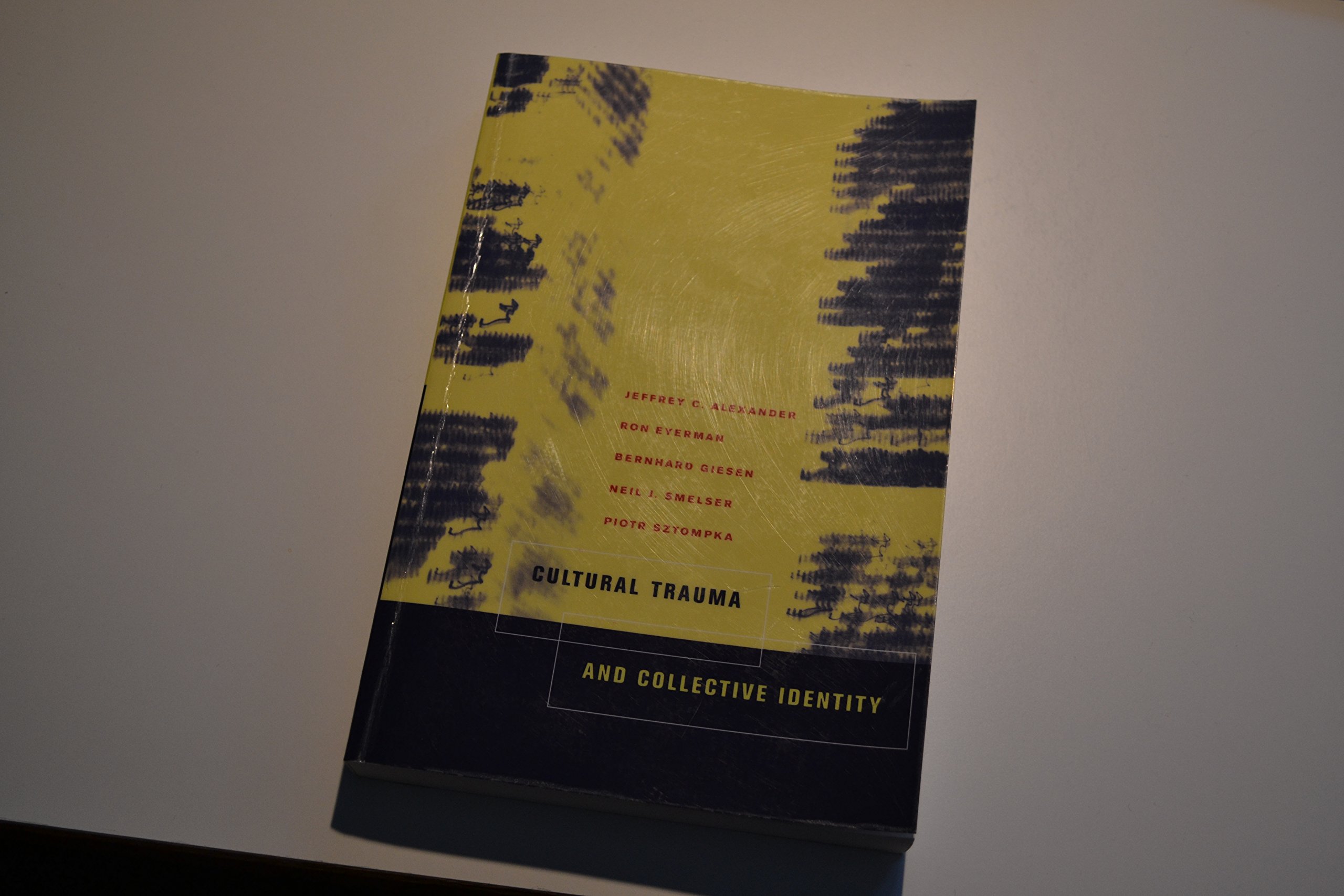 Cultural Trauma and Collective Identity
