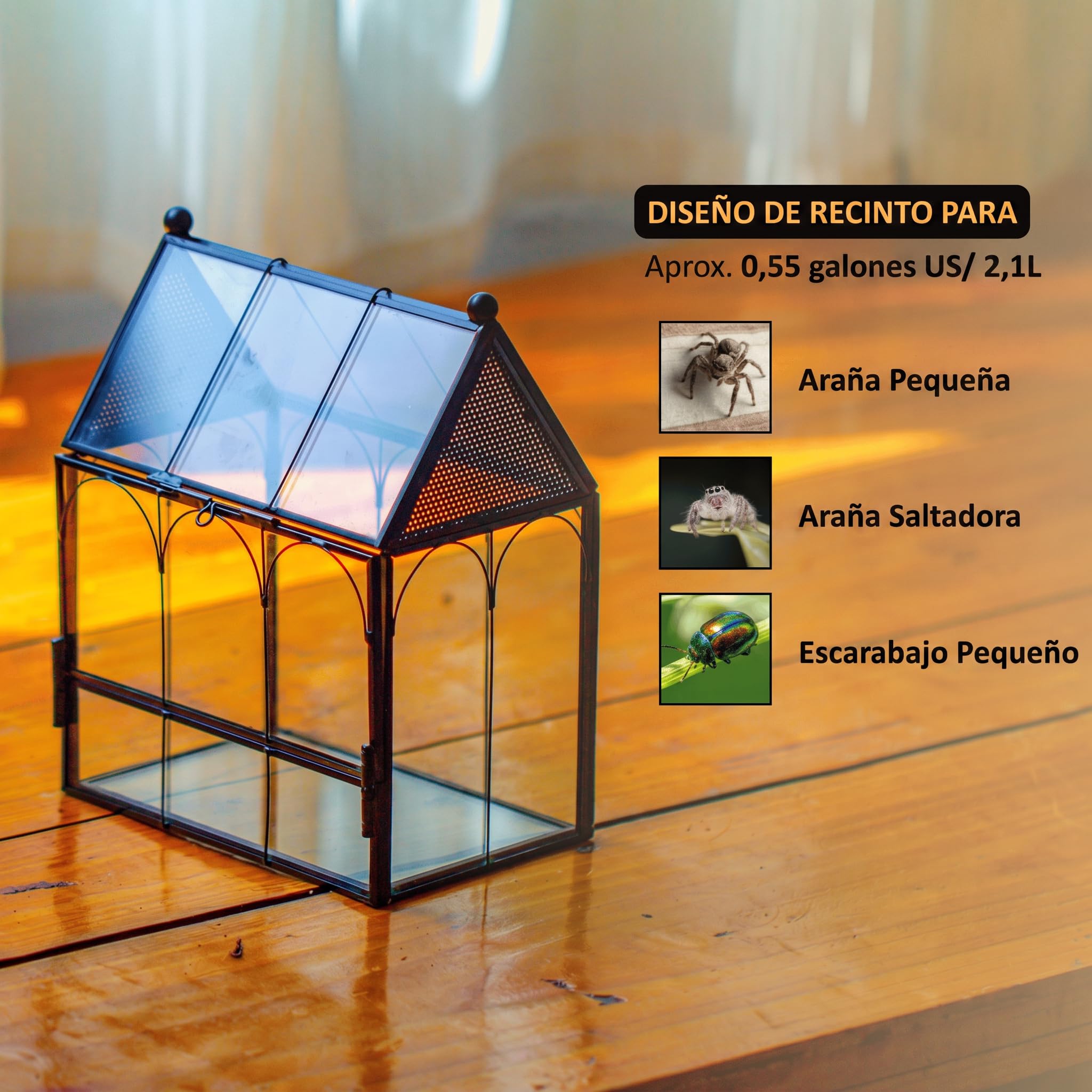 NCYP 14,7x9,6x17,8 cm Pequeño Recinto de Araña de Vidrio con Malla para Arañas Saltarinas, Insectos, Terrario de Plantas de Apertura Frontal en Forma de Casa(Solo Terrario, sin Plantas)