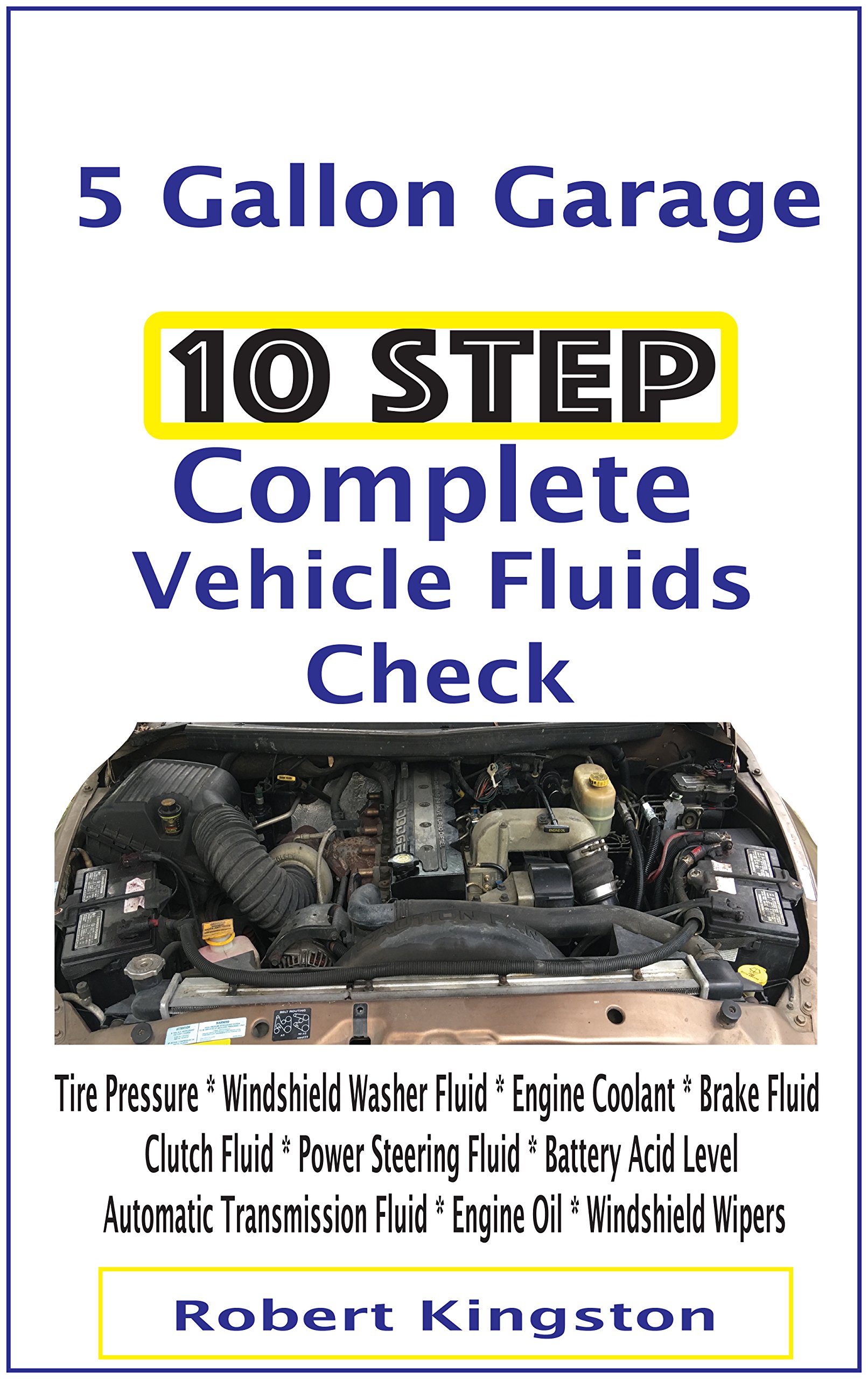 Buy 10 Step Complete Vehicle Fluids Check Tire Pressure * Windshield