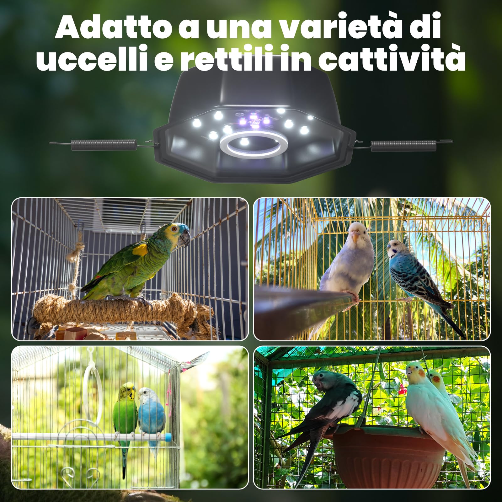 GlowUp Lampada per Uccelli UVB 2.4 10W, Luce LED a Spettro Completo per Uccelli con Cavo Resistente alla Masticazione, Dispositivo Ottagonale Dimmabile per Gabbia con Spina EU per Pappagalli