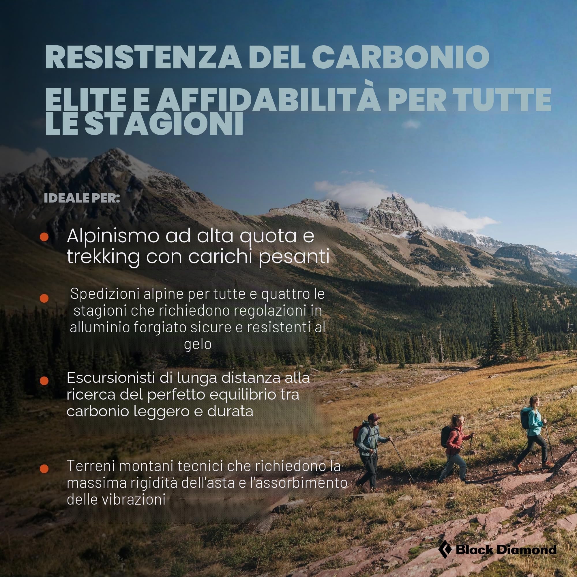 Bastoni da trekking in sughero nero diamante alpino