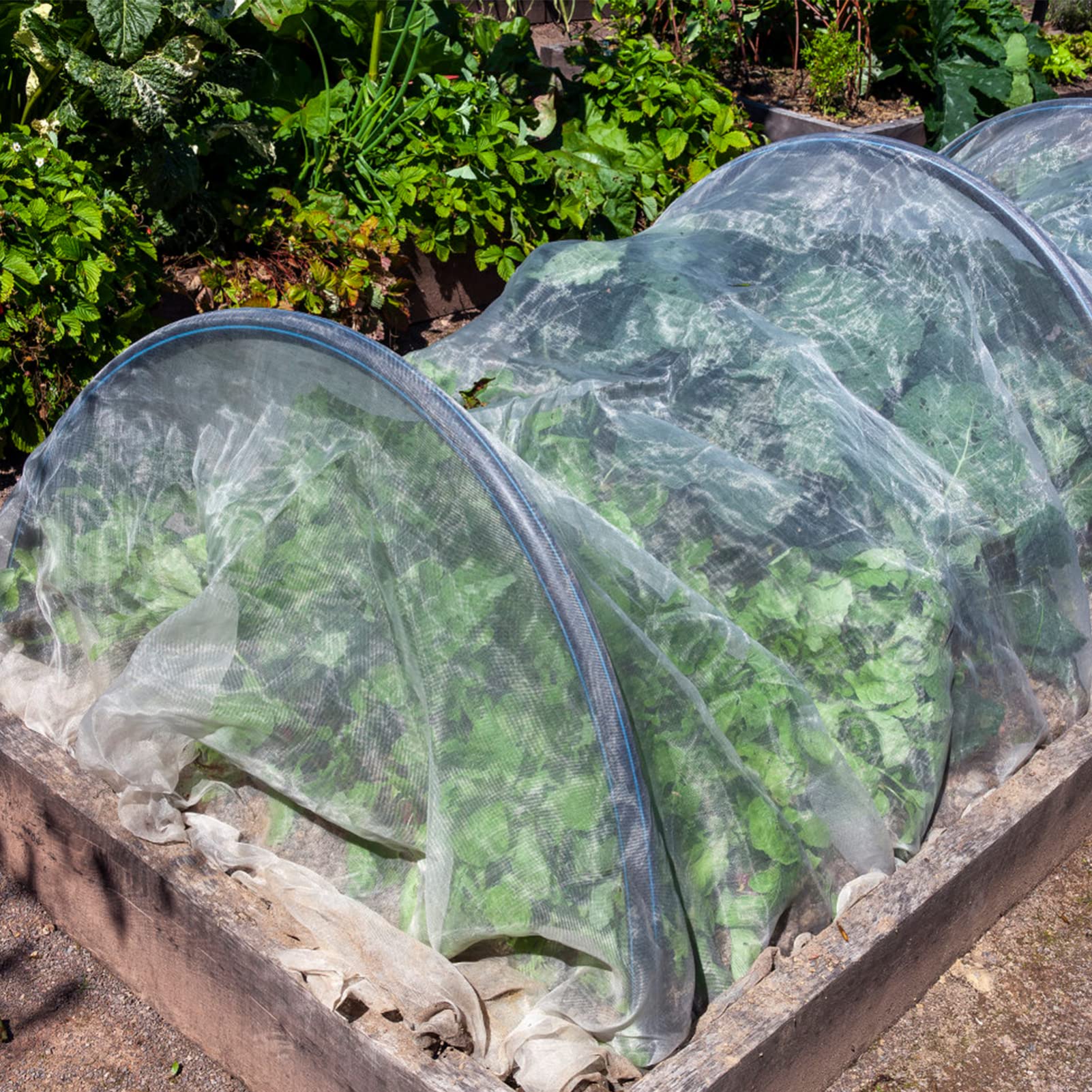 Rete da Giardino Anti-insetti Set, Polietilene e Fibra di Vetro | Fiori e Arbusti, Uso in Giardino e Serra, Protezione Temporanea, Compatibile Recinzioni