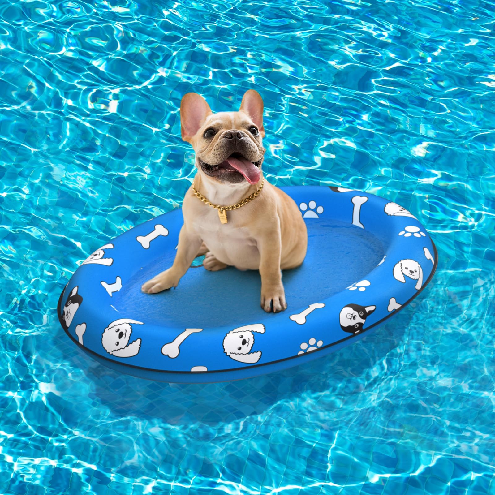 浮き輪柴犬♡夏 Amazon.co.jp: MICOOYO 犬用浮き輪 - 空気注入式犬用水泳用浮き輪 夏用