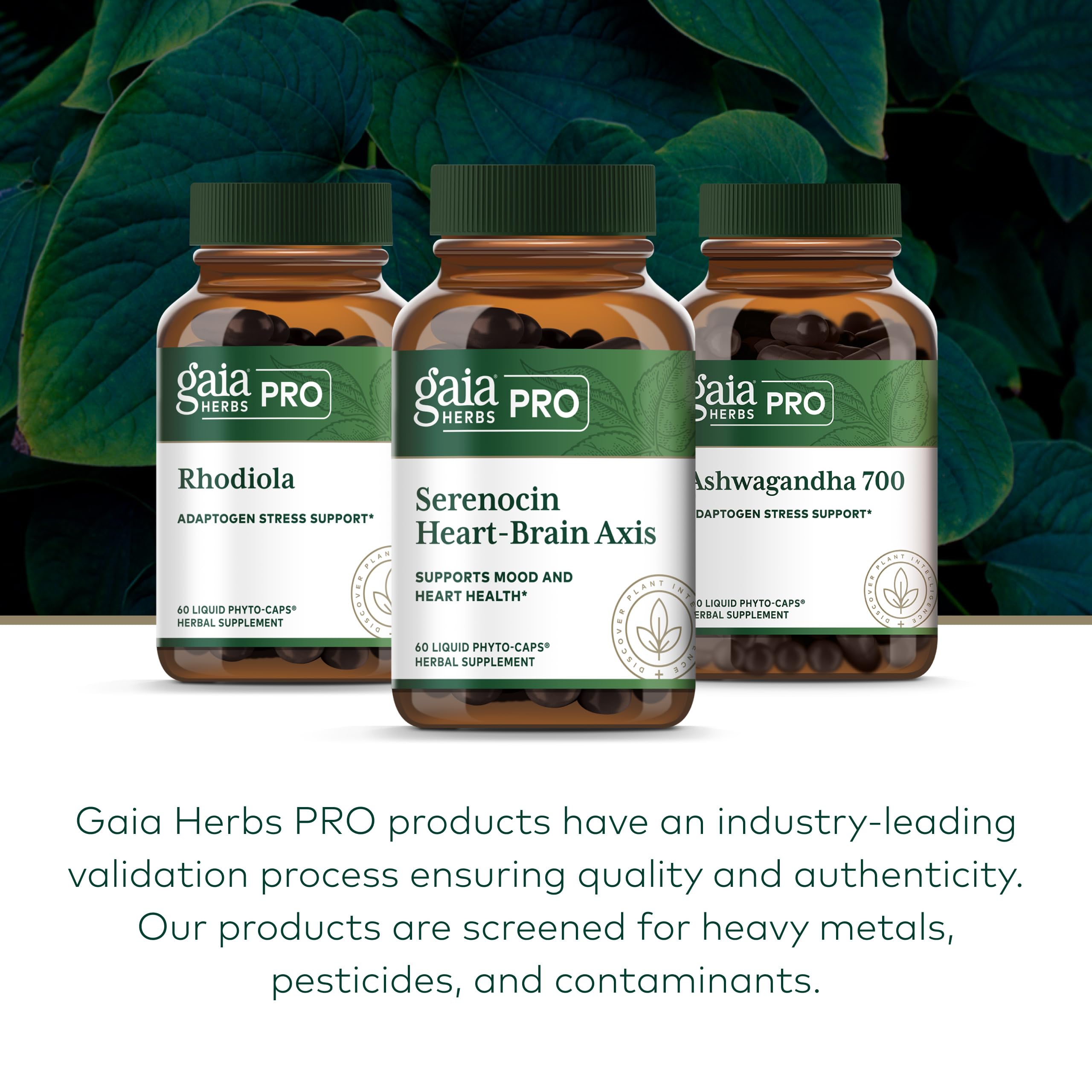 Amazon.com: GAIA HERBS PRO Serenocin Heart-Brain Axis - Heart