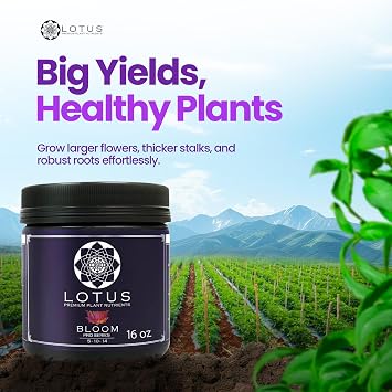 Lotus Nutrients Bloom Pro Series, Water Soluble Hydroponic Plant Food for Flowering and Fruiting, 14+ Ingredient Powder with 100% Chelated Micronutrients and Amino Acids, Coco Coir, Hydro, Soil (16oz)