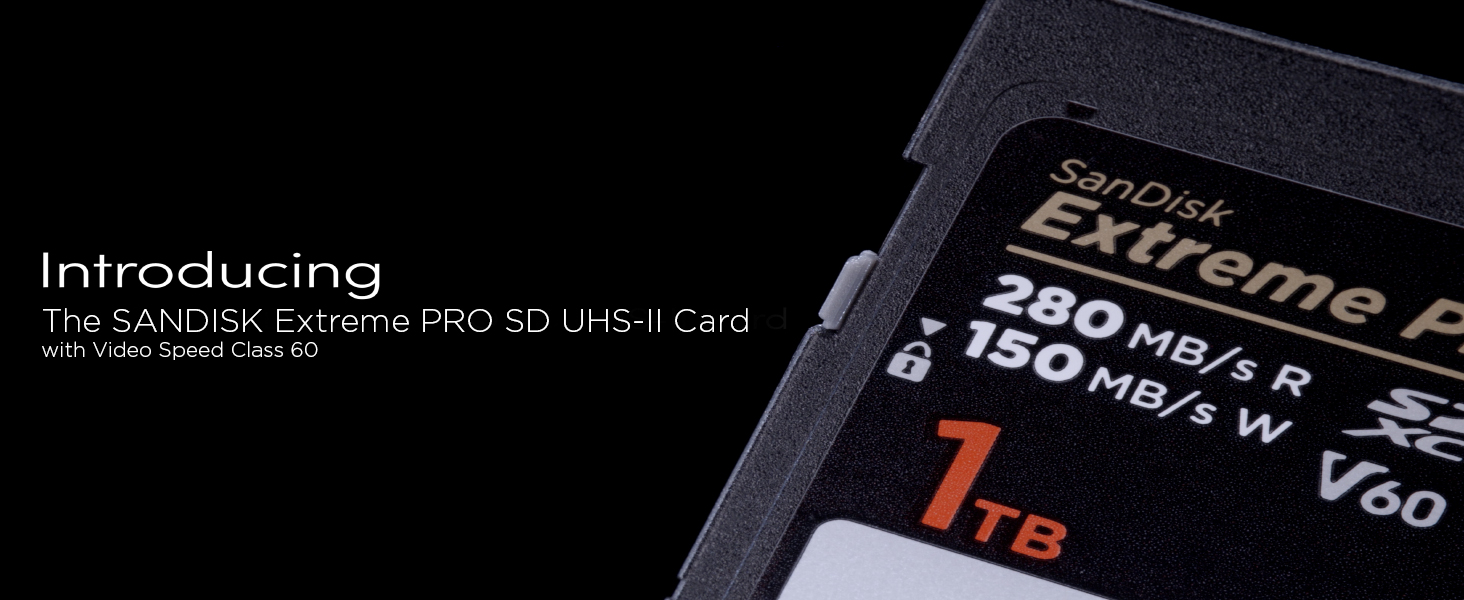 Amazon.com: SANDISK 128GB Extreme PRO SDXC UHS-II Memory Card