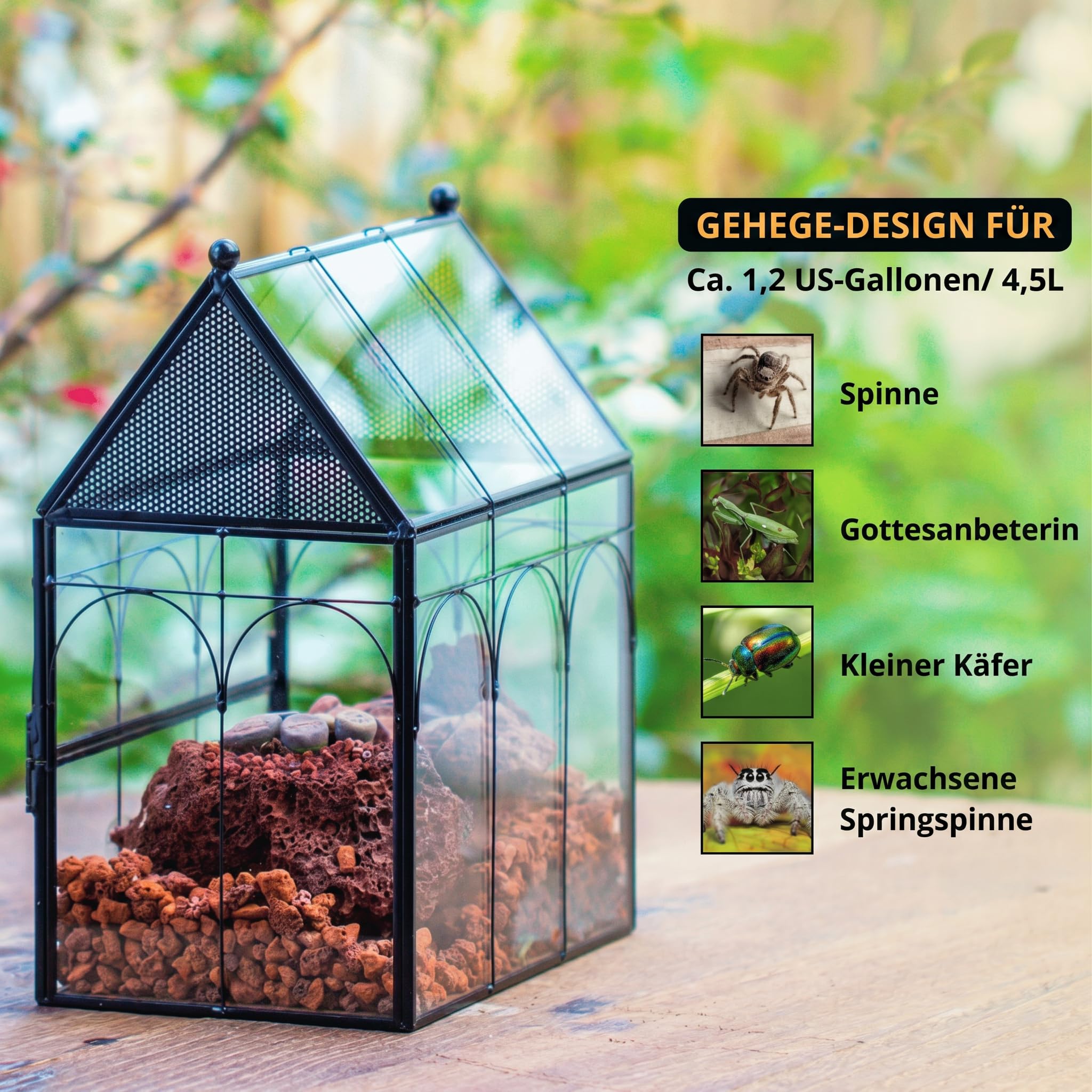NCYP 19x12,5x23 cm Glasgehäuse mit Belüftungslöchern für Insekten, Spinnen, schwarz kleine geschlossene in Hausform mit vorne öffnende Tür (Ohne Pflanzen und Requisiten)