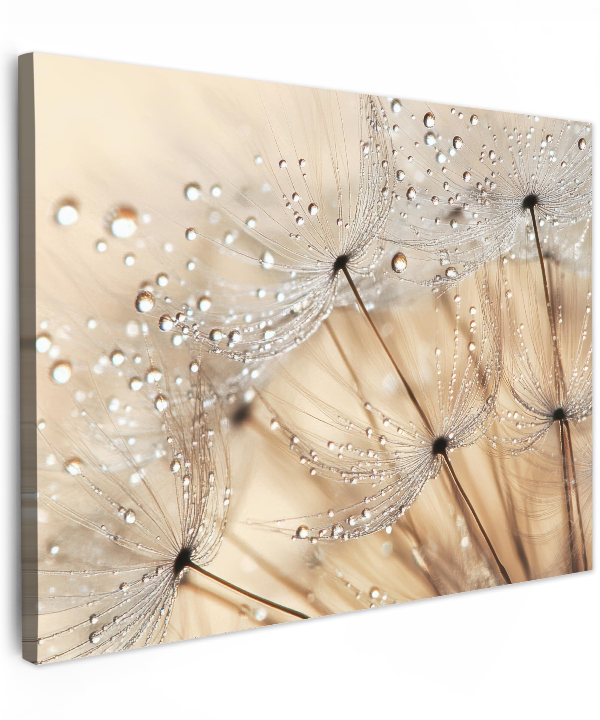 Muchowow Abstract - Dandelion Muchowow© Canvas Wall Art 31"X24" / 80X60 Cm Decor Prints For Living Room Decorative Canvases Hall Artwork Dandelion - Abstract - Nature - Beige