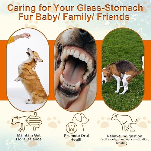 Miniatura 2 de Probióticos para perros  200 probióticos masticables para perros, apoya la salud intestinal, inmunidad y alivio de gases de diarrea  Suave con