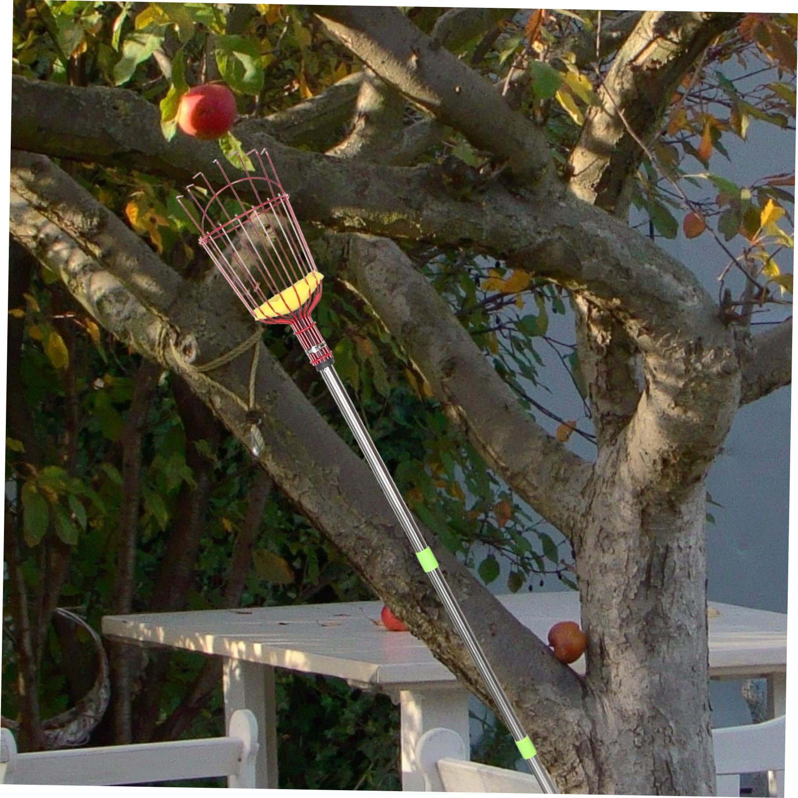 Yardwe Perche à Cueillette de Fruits Légère en Acier Allié avec Panier, Télescopique à Quatre Sections, Portable Récolte de Poires et Oranges Jardin