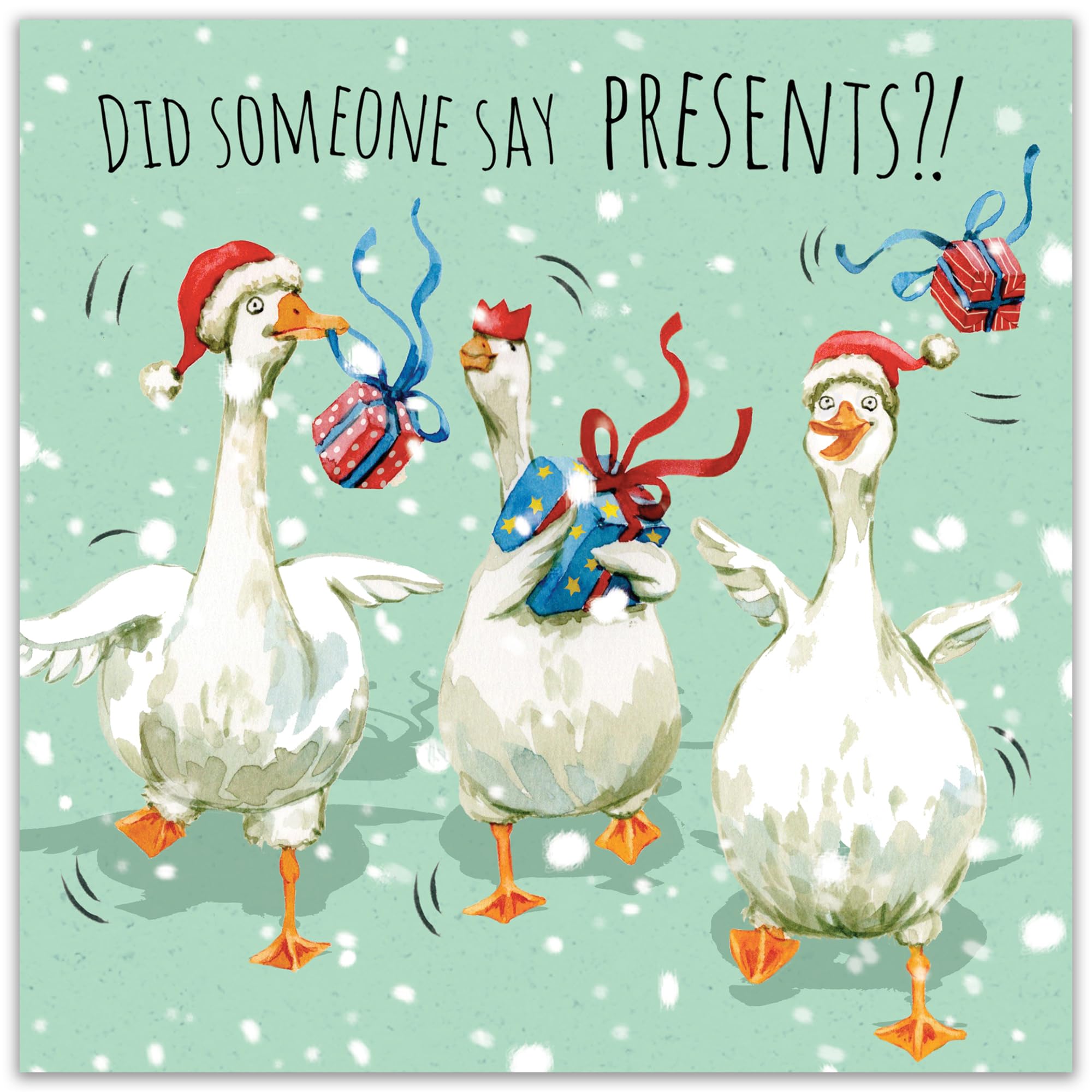 Twizler - Biglietto di auguri di buon Natale con confusione di lama – divertente biglietto di Natale – Biglietto di Natale – Biglietto di Natale – Biglietto di Natale da donna