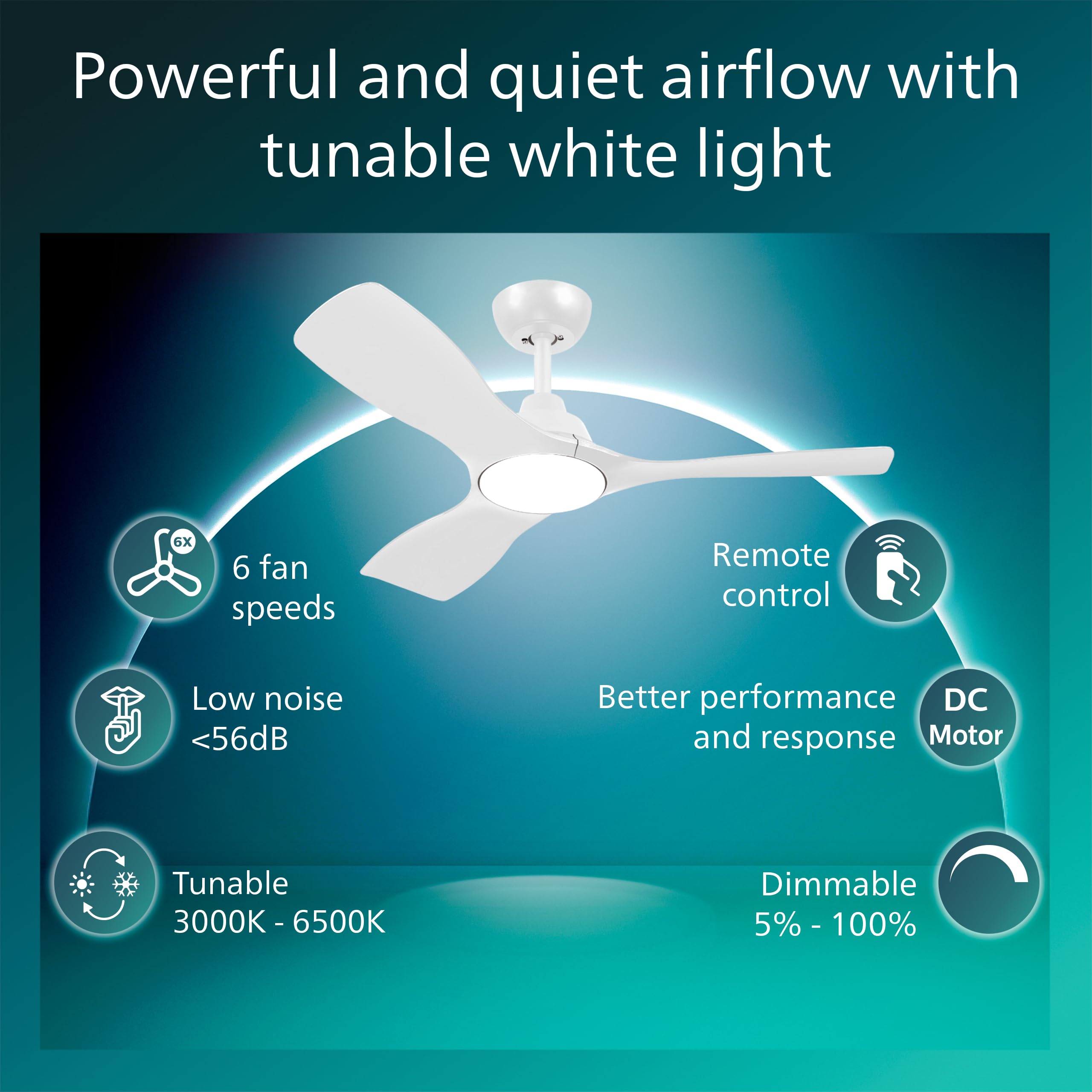 View 2