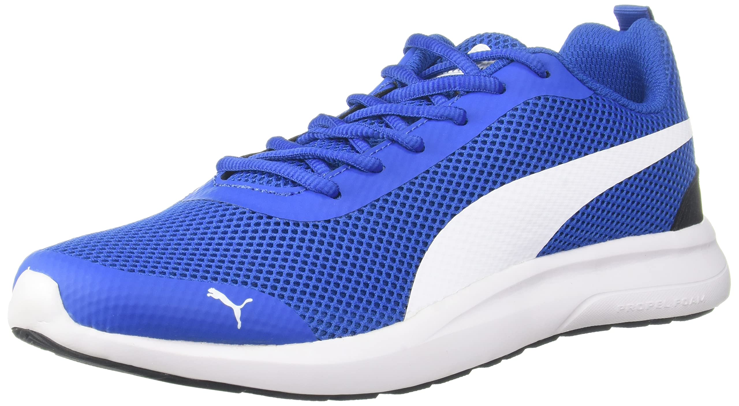 Puma Mens Echelon V1 Royal Blue White Black Running Shoe-10 Kids UK (36839108) (B07FNVK1M5) Amazon Price History, Amazon Price Tracker