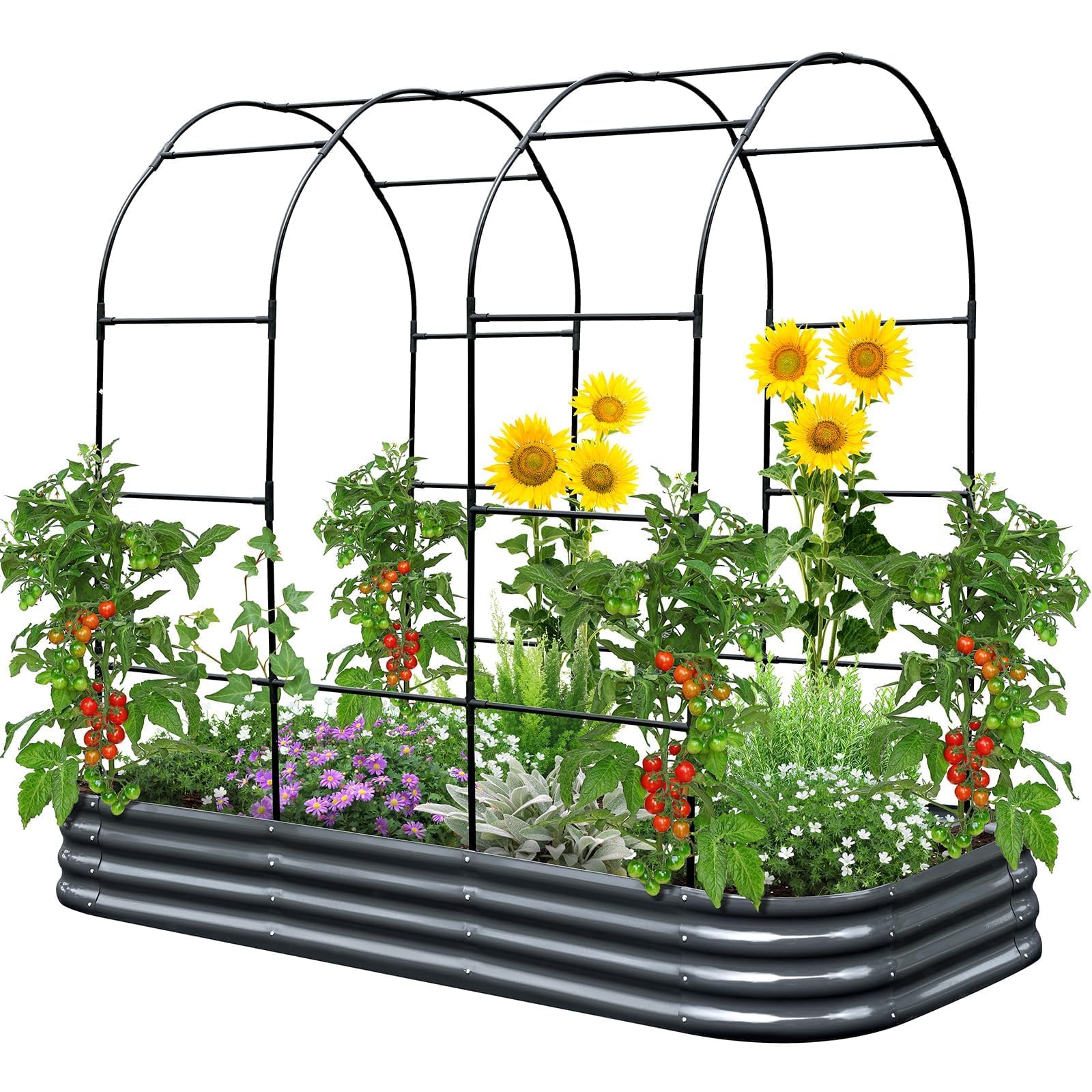 Grande jardinière surélevée en acier avec arche de croissance