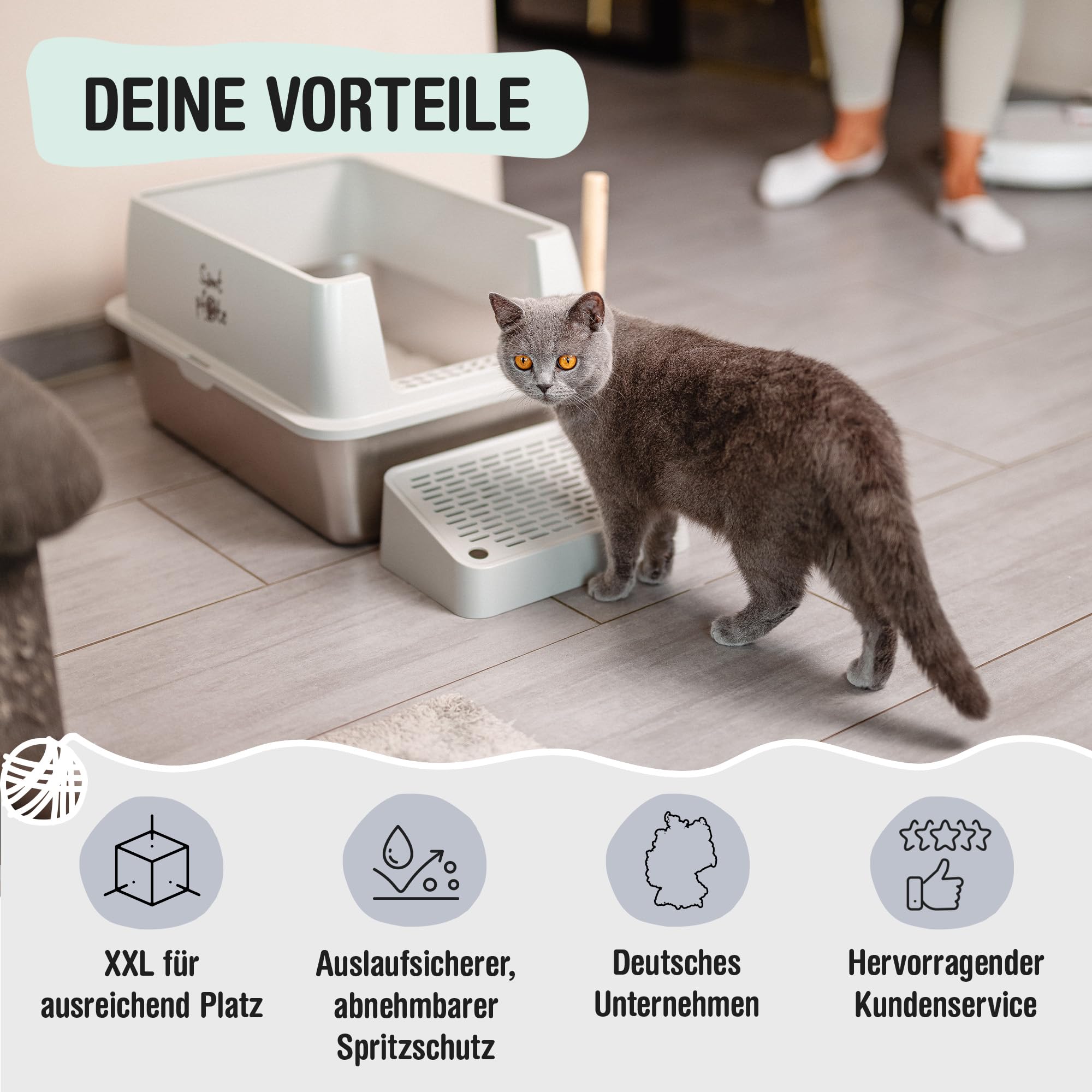 Samtpfote® Vista- Offenes Katzenklo aus Edelstahl - XL Katzentoilette mit Spritzschutz - Fronteinstieg -Auslaufsicher - Antibakteriell - Hygienisch - Leichte Reinigung - 60 x 40 x 30 cm Cat Litter Box