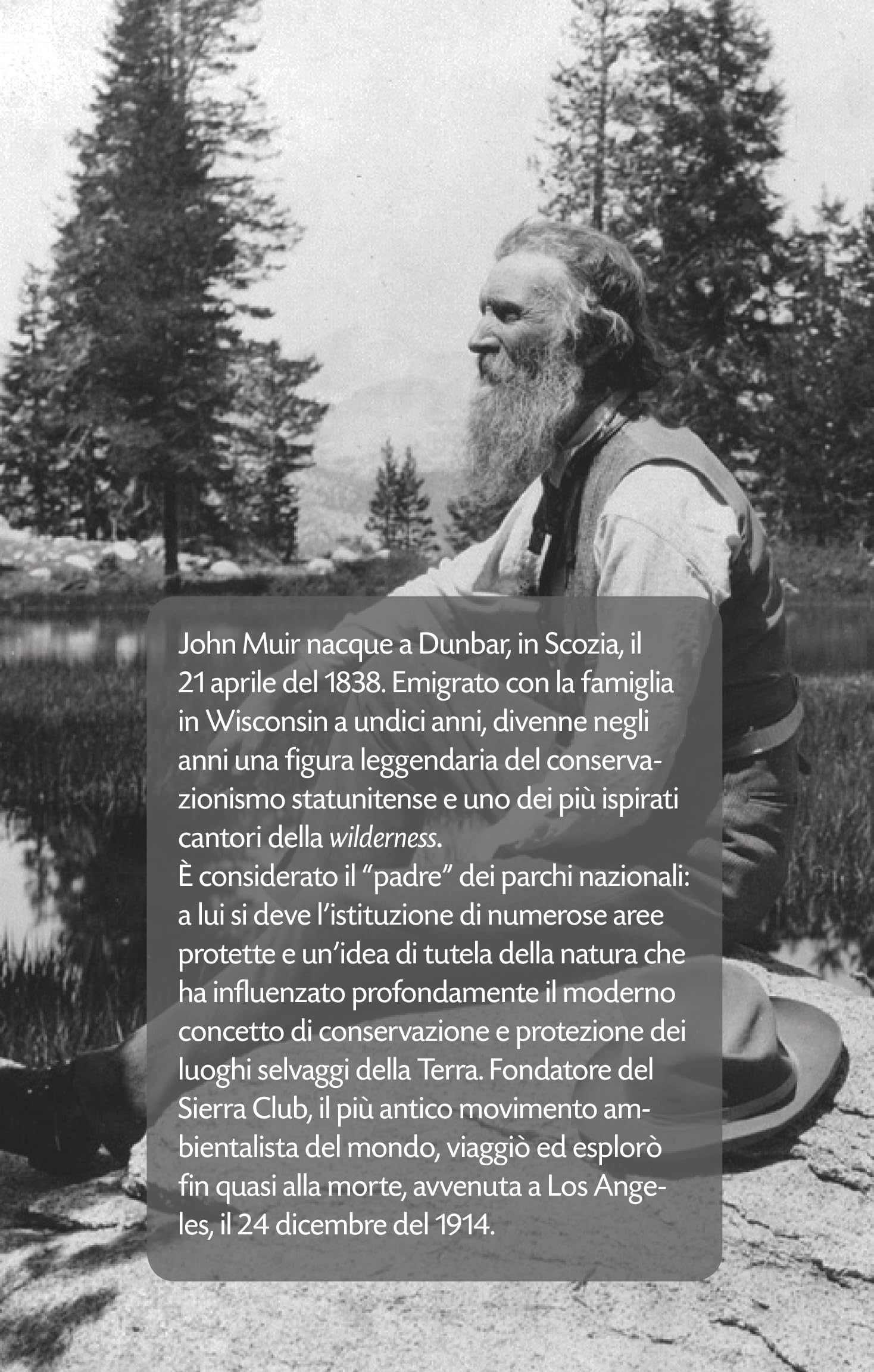 Andare in montagna è tornare a casa. Saggi sulla natura selvaggia
