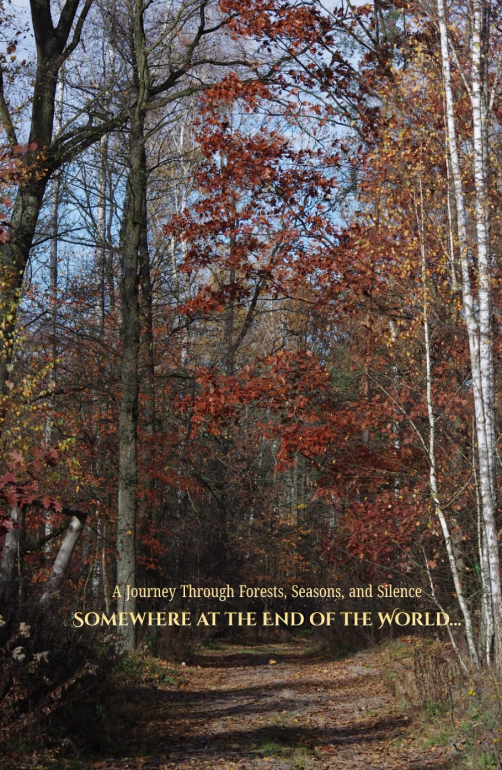 Somewhere at the End of the World le guide idéal pour déconnecter et fuir le stress urbain