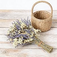 Natural Dried Lavender & Baby's Breath Bouquet - 2 Bunches for Weddings, Home Decor, DIY Crafts, Photography & Centerpieces