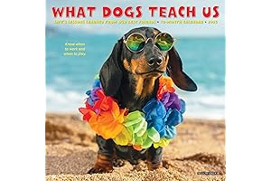 Monthly Mini 2024 Wall Calendar