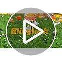 Decorative Garden Fence, 10 Panels 40 in(H) X 23.6 ft(L) Rustproof Metal Wire No Dig Dog Fence Outdoor for Yard, Temporary Tall Garden Fence Animal Barrier Decor for Yard & Patio