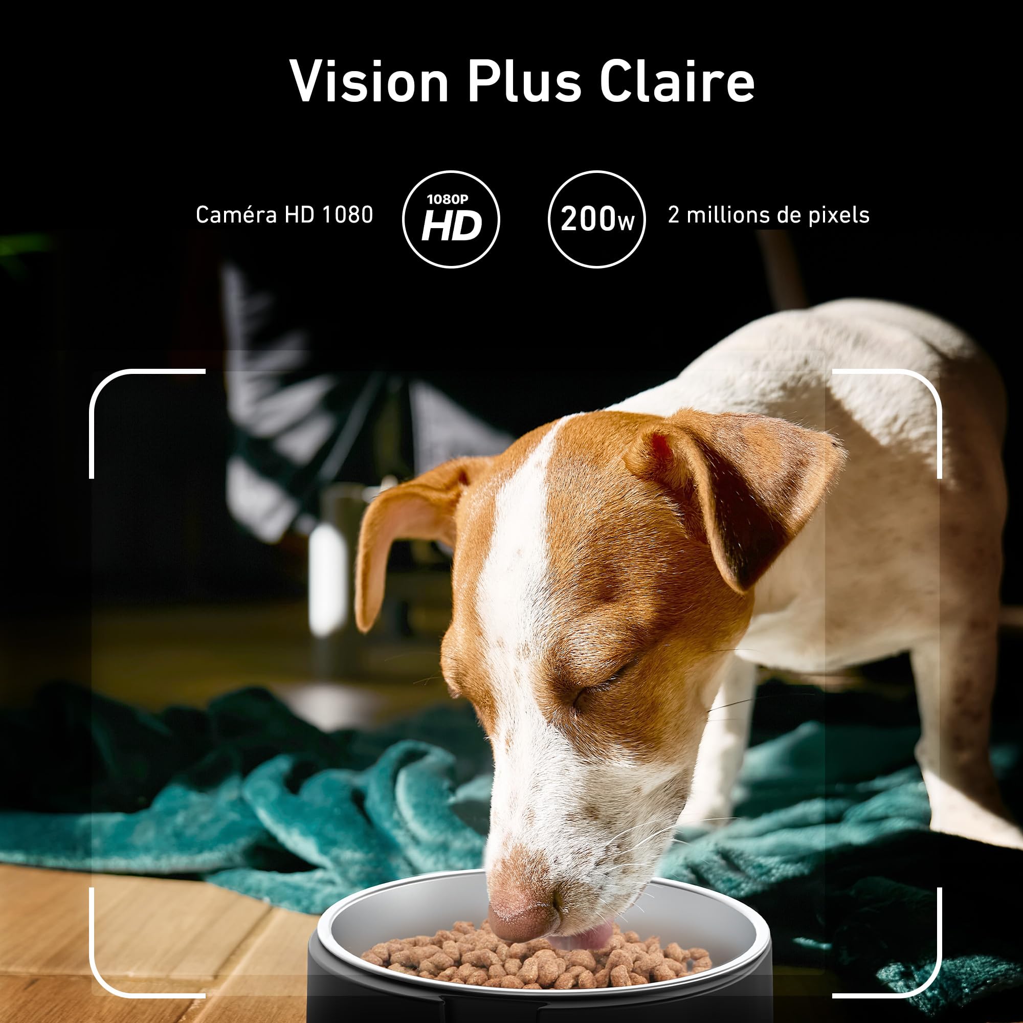 Nityers Distributeur Croquettes Chat Automatique avec Caméra, 5GHz WiFi, Vision Nocturne, Contrôle APP, Angle Caméra Réglable, Bol INOX Grand pour Chats Et Chiens