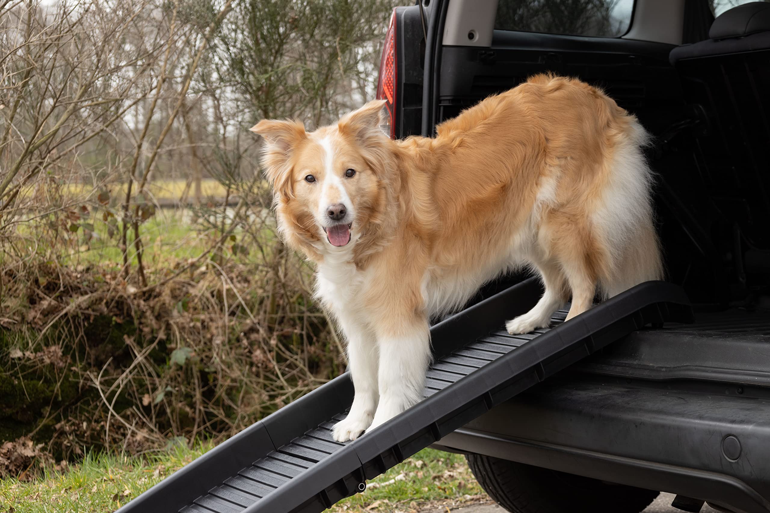 Rampe de Chien Escalier pour Chien - Voiture Automobile - 156 x 40 x 15 cm - Pliable et antidérapant - qualité superieur