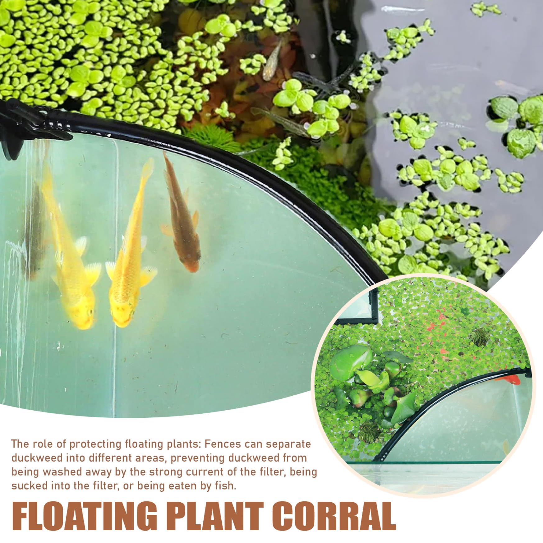 1set de Poisson-Anneau d'alimentation, barrière de Plante Flottante se sépare