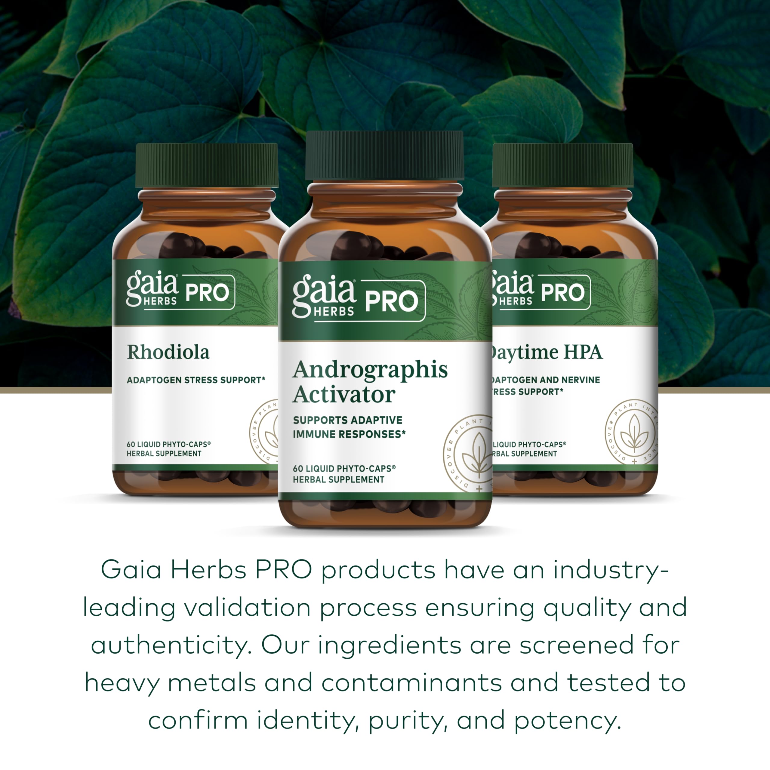 Gaia Herbs PRO Andrographis Activator, Immune Support, 60 Capsules — Amazon image 6