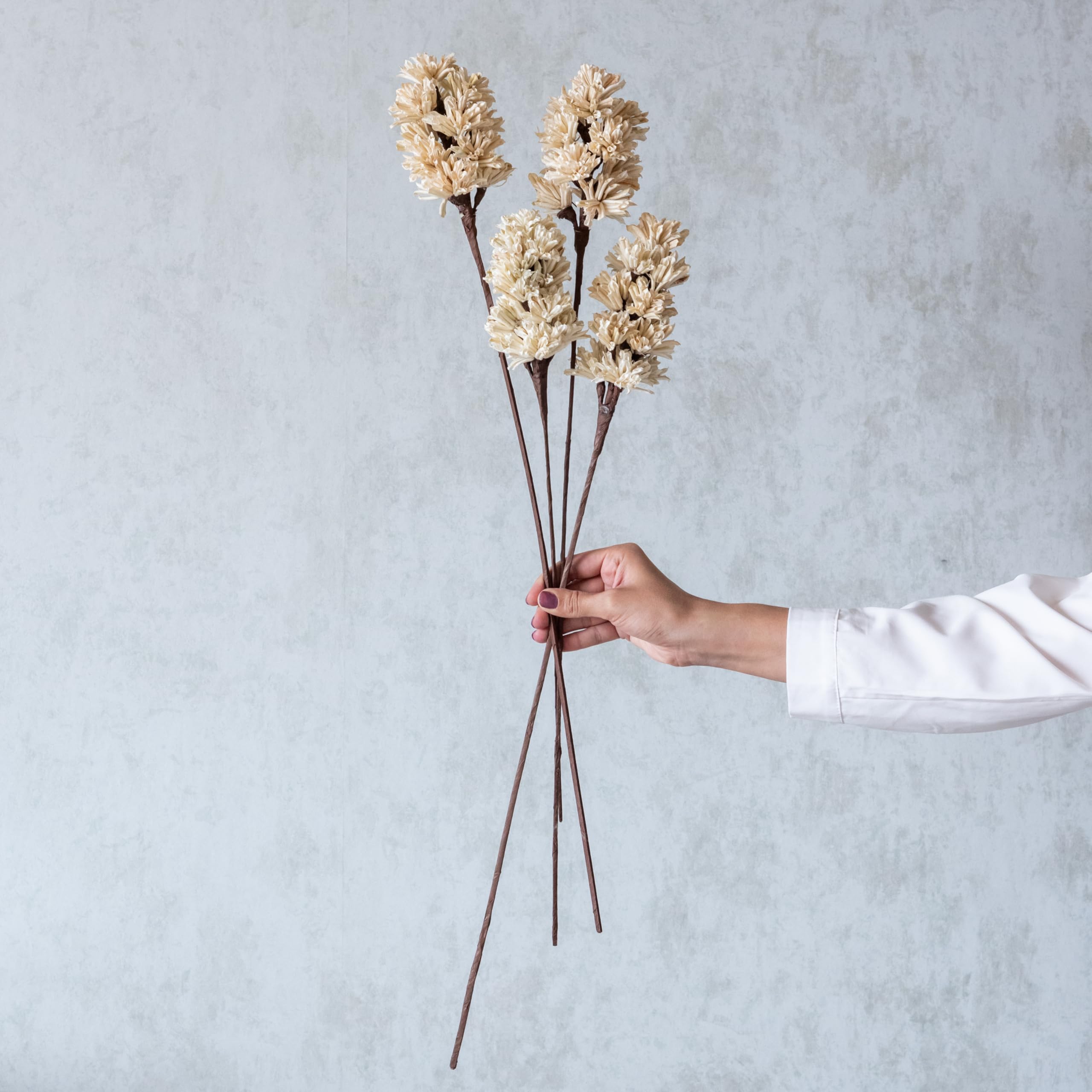 Handmade Beige Artichoke Sticks (Set of 5) |Natural Dried Flower | Eco-Friendly Flowers for Home, Office, Bedroom, Table Decoration and Craft Items Corner (Without Vase Pot)-image-32