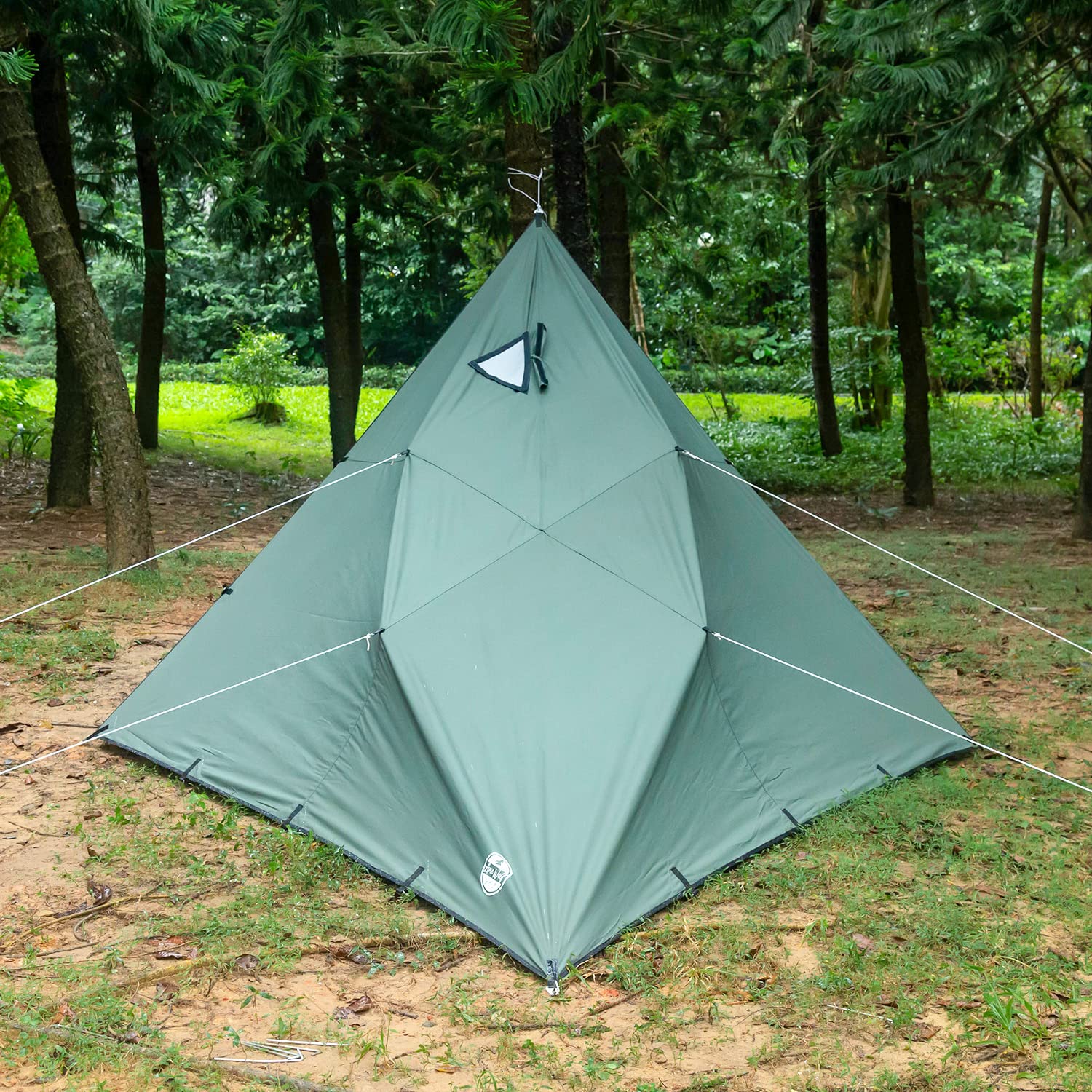 Amazon.com: POMOLY Camping Tarp- Tent with Stove Jack, Hammock