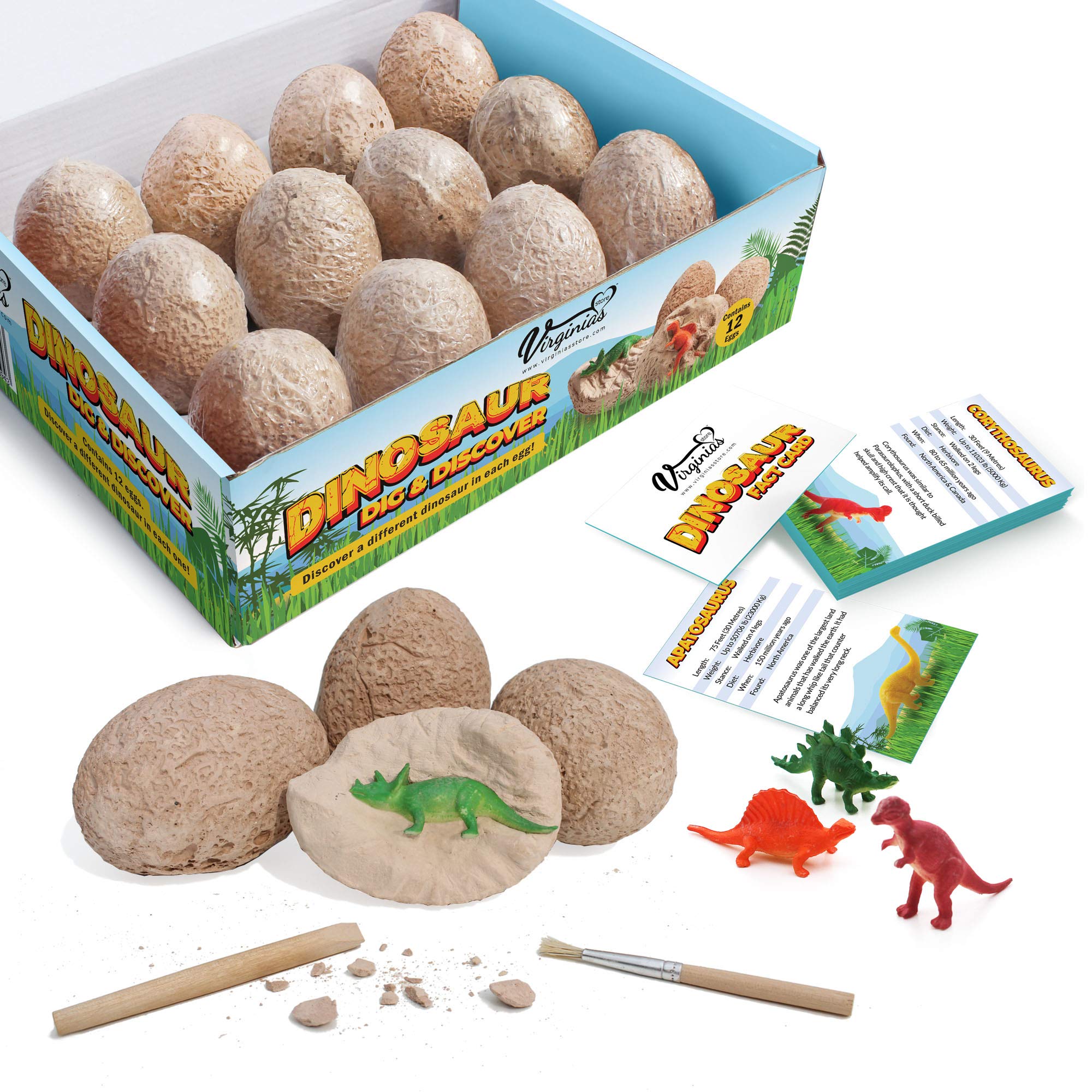 Dinosaur Dig and Discover Kit with 12 Fun Fact Cards