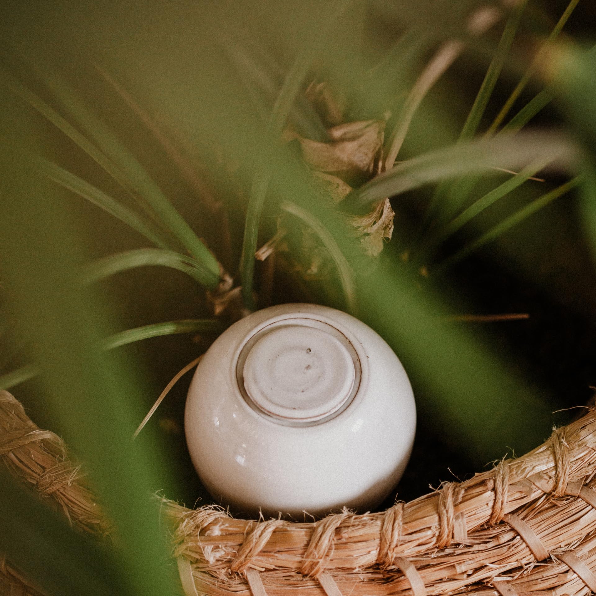 Ollas Lutton Mini Olla Terre Cuite 25cl | Fabrication Française | Arrosage Automatique Écologique | Irrigation Naturelle pour Plantes Intérieures & Extérieures | Autonomie 2 Jours | Olla Blanche