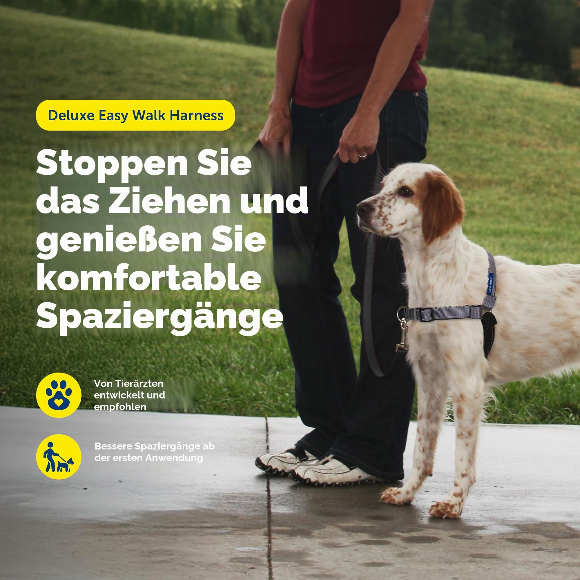 PetSafe Deluxe Easy Walk Hundegeschirr