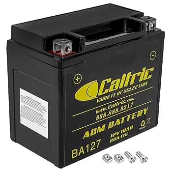 Kotti3079様 Amazon.com: Caltric Ytx12-Bs Agm Battery Compatible with