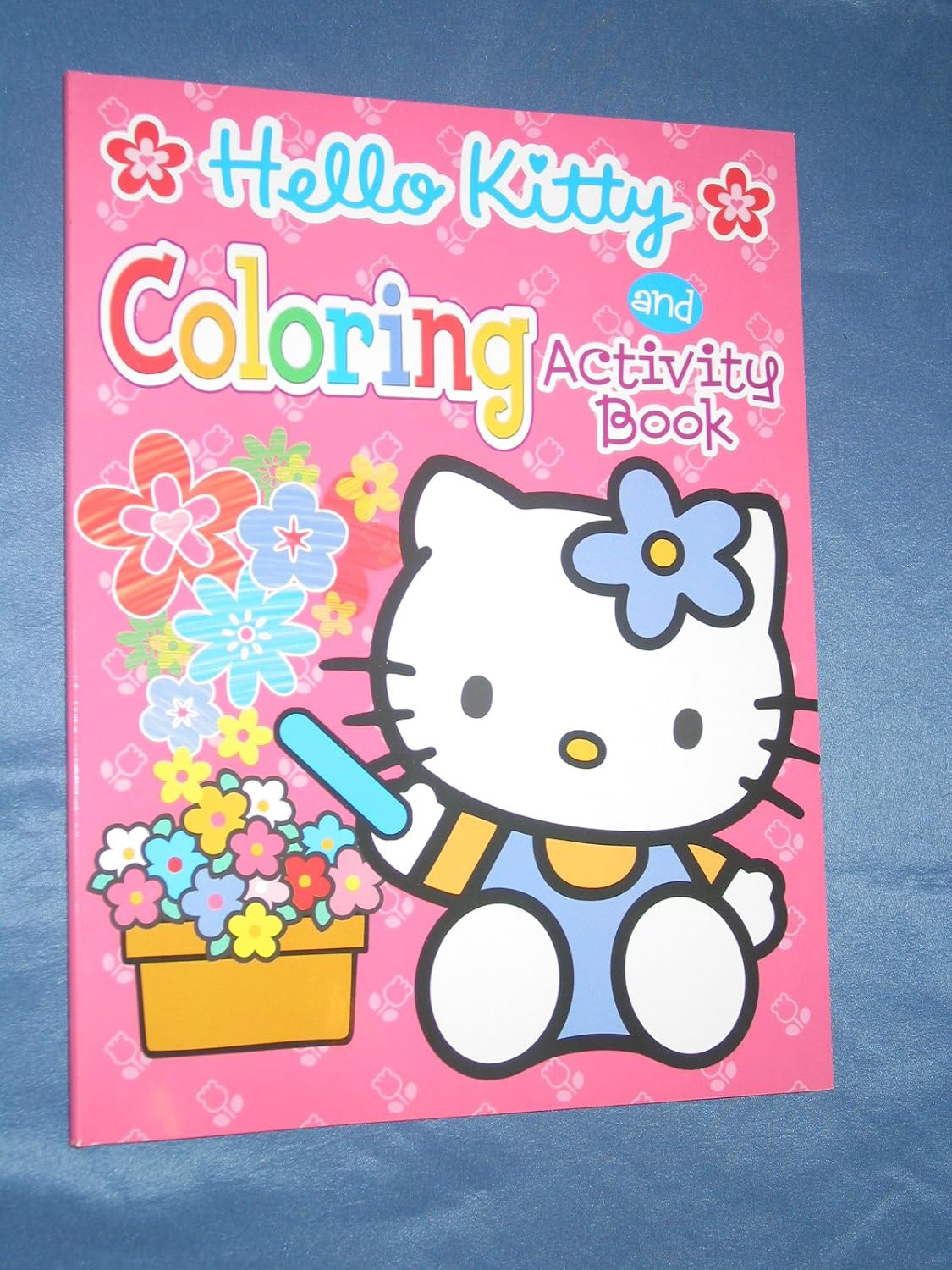 Hello Kitty Activity Book 9781593943554 Books Amazon.ca